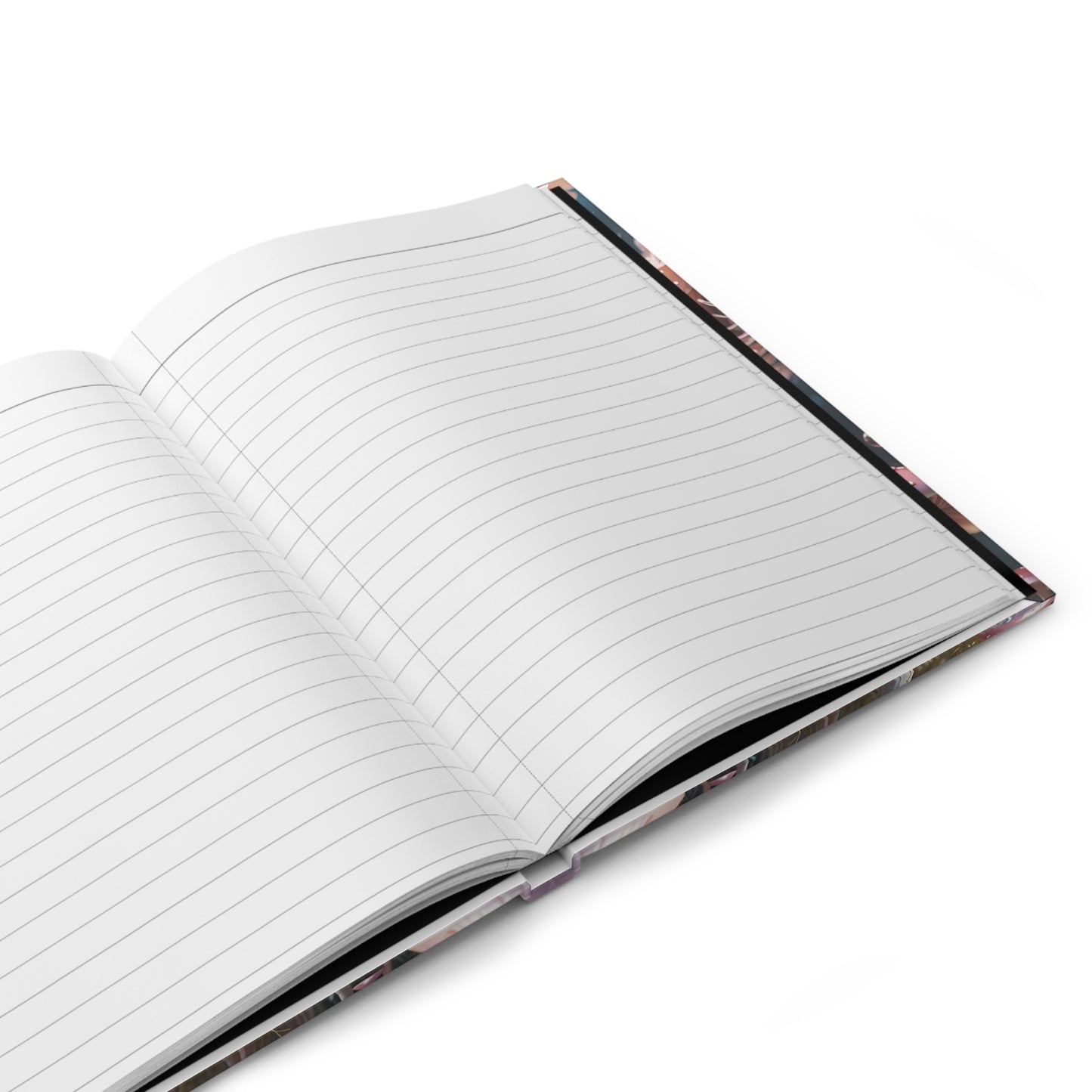The Vision Carrier Journal